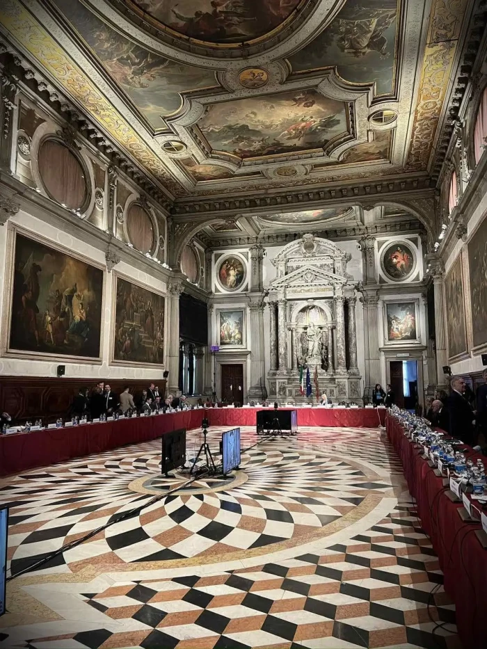 Председник Уставног суда на седници Венецијанске комисије