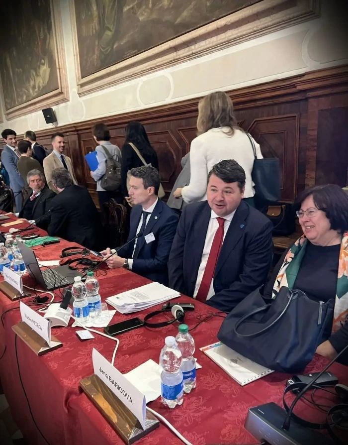 Председник Уставног суда на седници Венецијанске комисије